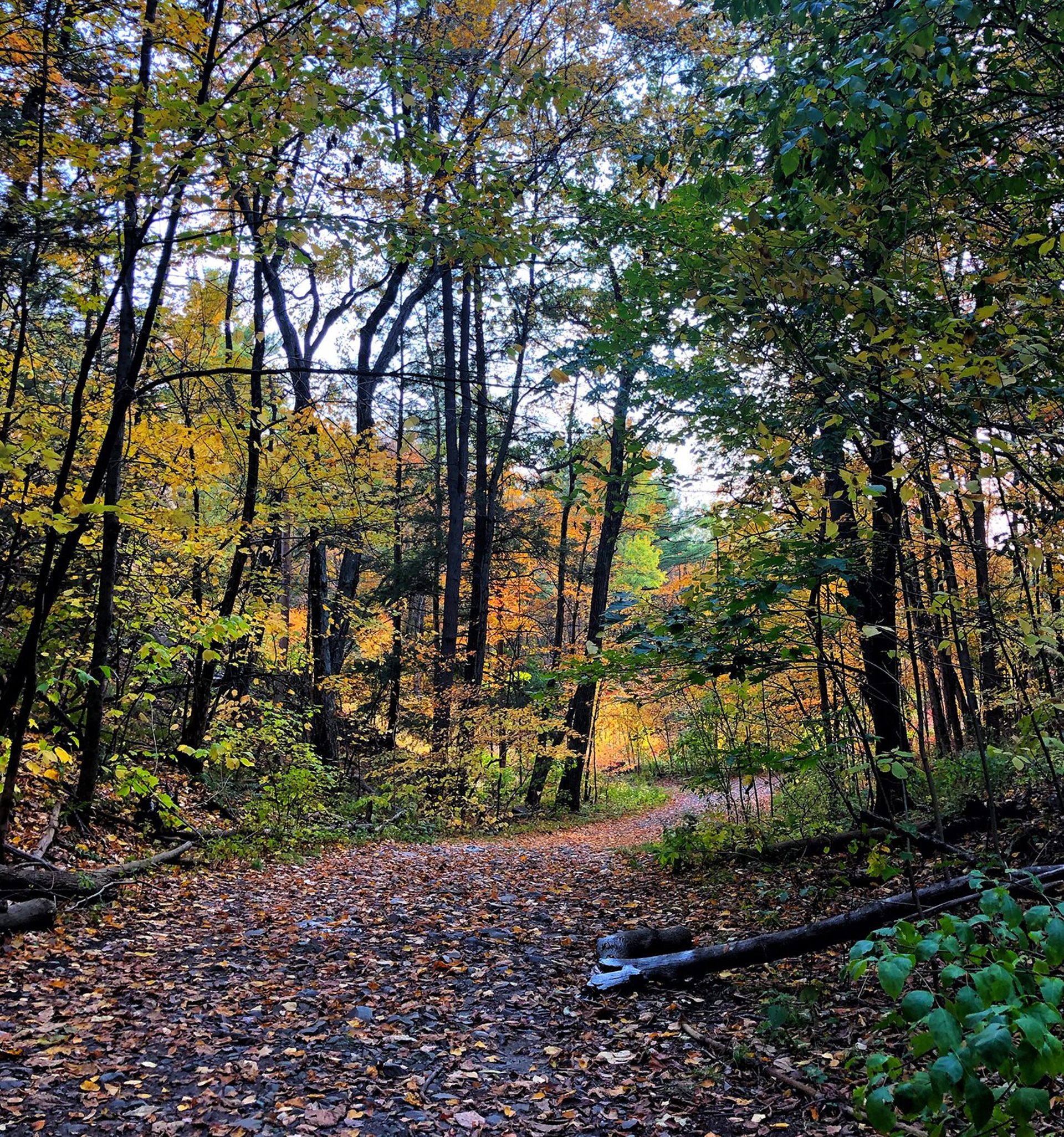 Highland Park